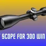 Best Scopes for 300 Win Mag Rifle