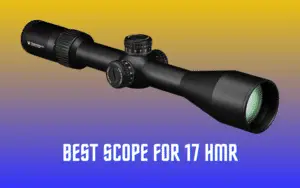 Best Scope for 17 HMR - Sweet Seventeen Power Recommendations