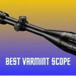 5 Best Varmint Scopes Review