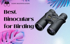 Best Binoculars for Birding – Affordable, Lightweight & Compact