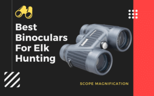 Best Binoculars for Elk Hunting – Affordable Magnification Pairs