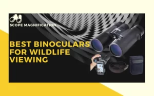 Best Binoculars for Wildlife Viewing and Nature Watching