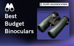 Best Budget Binoculars for Wildlife Viewing, Birding & Hunting