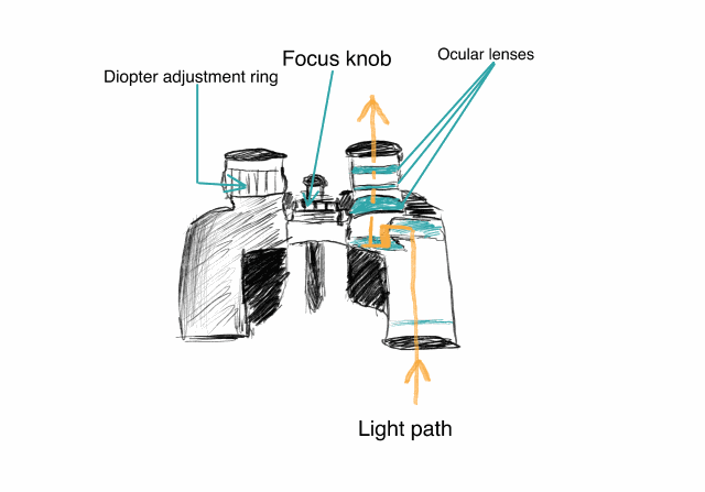 binoculars Focus Knob Fixation