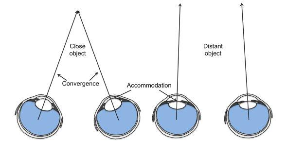 Binoculars Lens Fixation