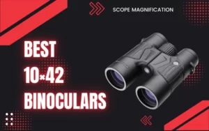 Best 10x42 Binoculars for Bird Watching and Hunting Under $500