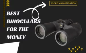 Best Binoculars for the Money Under 200 - Budget Reviews