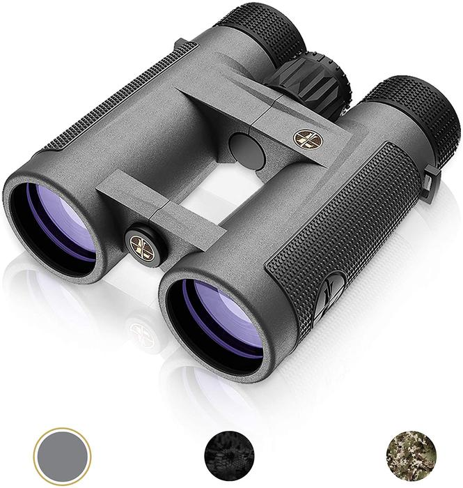 Leupold BX-4 Pro Guide HD-Best 10x42 Binoculars for Bird Watching