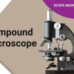 Compound Microscope Parts & All Types