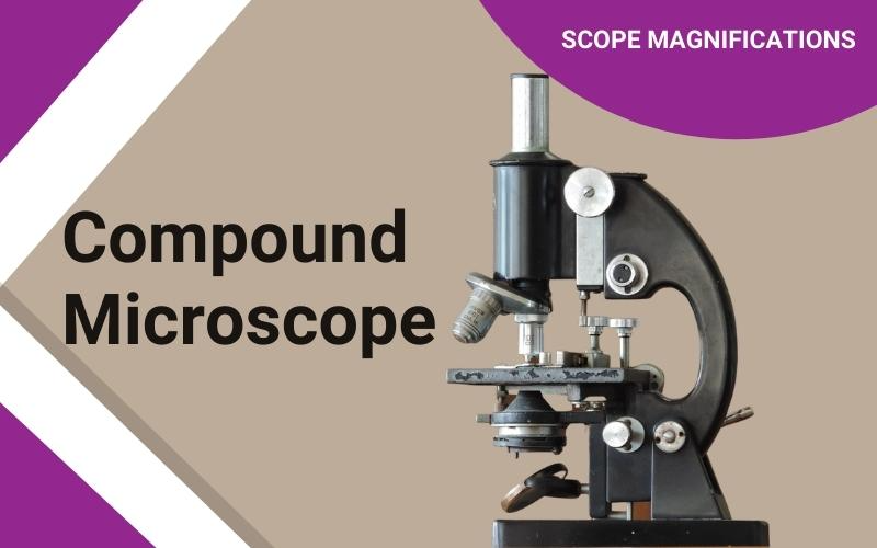 Compound Microscope