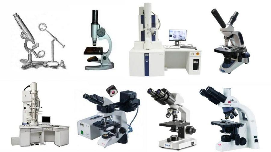 Different Kinds of Microscopes