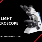 Light Microscope Parts | Types & Benefits