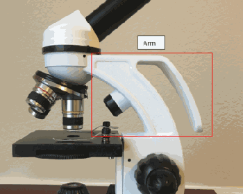 Microscope Arms