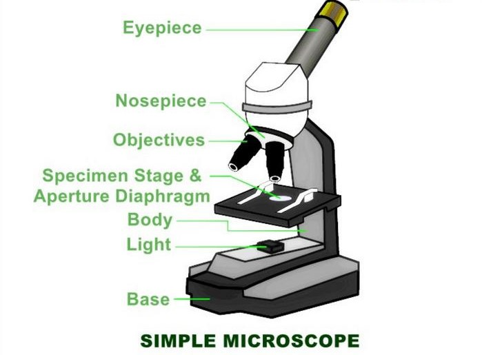 Simple Microscope