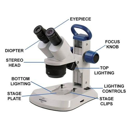 Types of Microscopes | Comparison Chart Functions and Uses