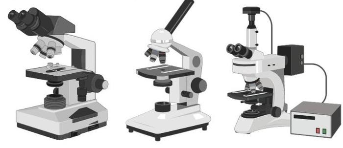 Types of Light Microscope