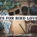 Gifts for Bird Lovers – 20+ Ideas for Backyard Bird Watchers