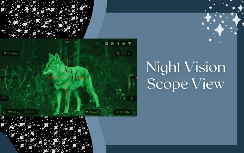 Night Vision Scope?