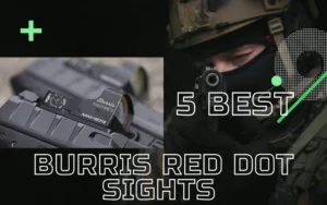 Best Burris Red Dot Sights