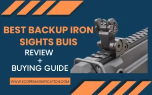 best backup iron sights buis