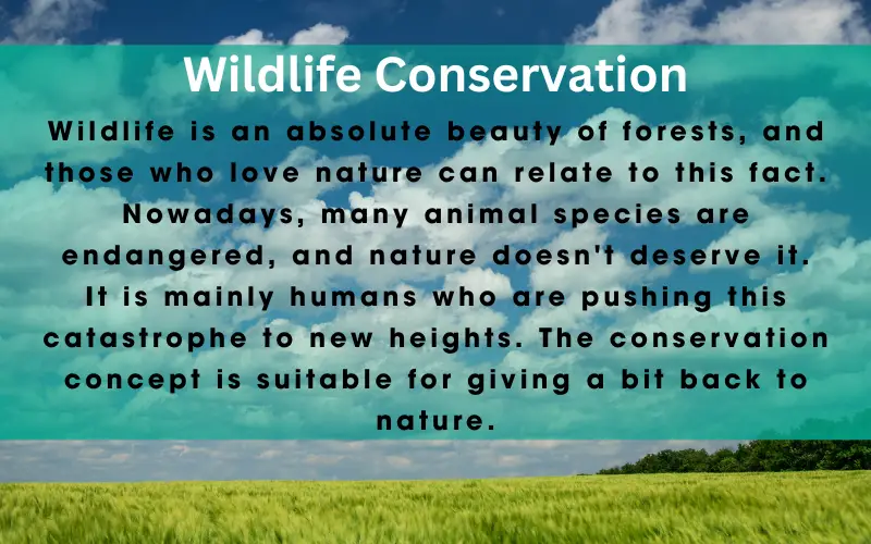 Definition of Wildlife Conservation