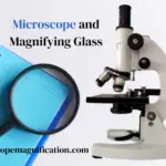 How Does Magnifying Glass Work to Look Things Bigger?