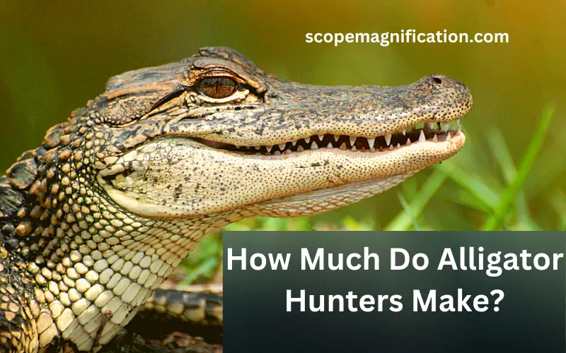 How Much Do Alligator Hunters Make Season and Off-Season