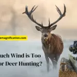 How Much Wind is Too Much for Deer Hunting? Manual 2023