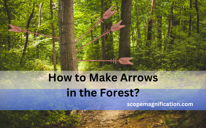 How to Make Arrows in the Forest