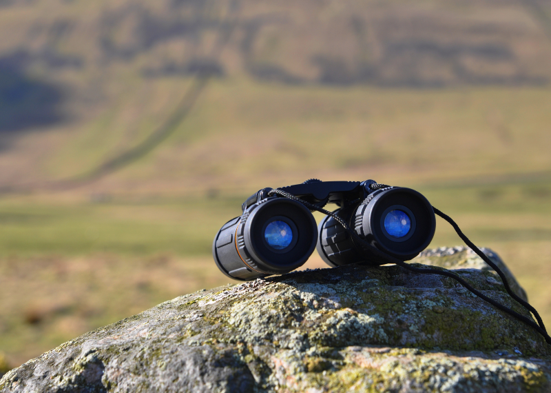 Hunting Binoculars for Ducks
