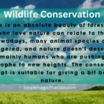 What is the Goal of Wildlife Conservation? Types & Importance