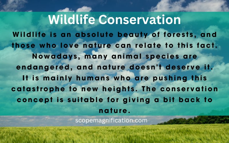 What is the Goal of Wildlife Conservation Types & Importance