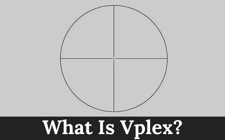 What Is Vplex