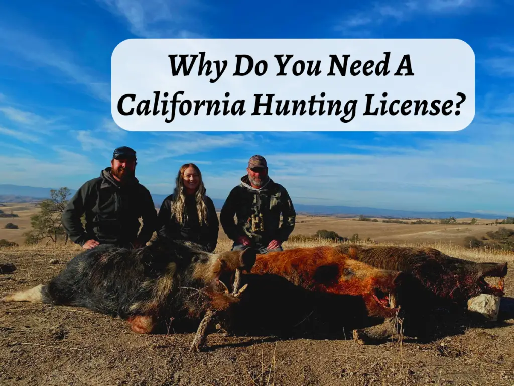 Why Do you Need A California Hunting License