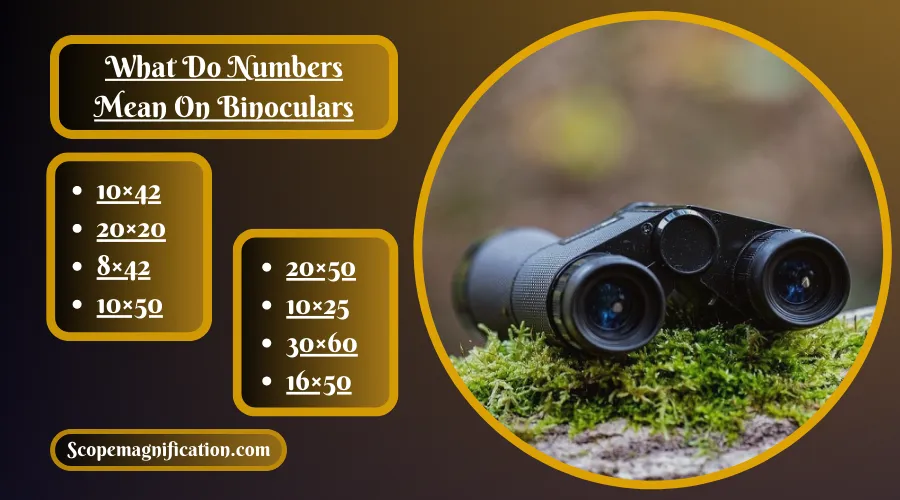 What Do Numbers Mean On Binoculars