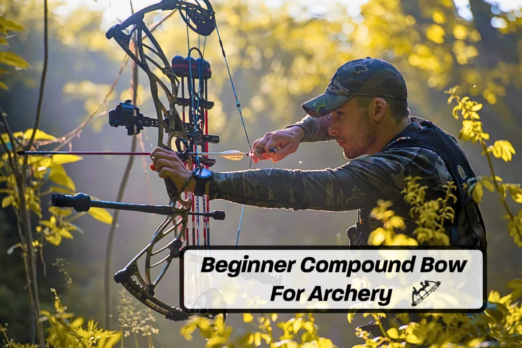 Best Beginner Compound Bow For Archery