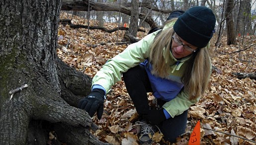 How to Find Arrowheads in the Woods