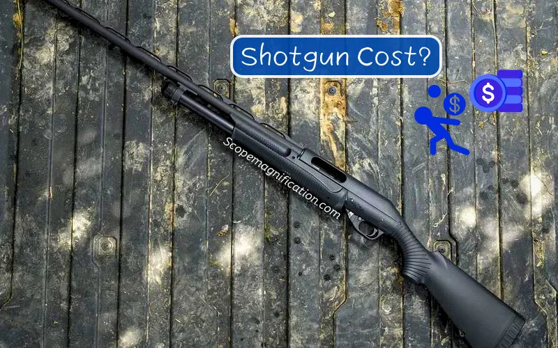 How Much is Shotgun Cost